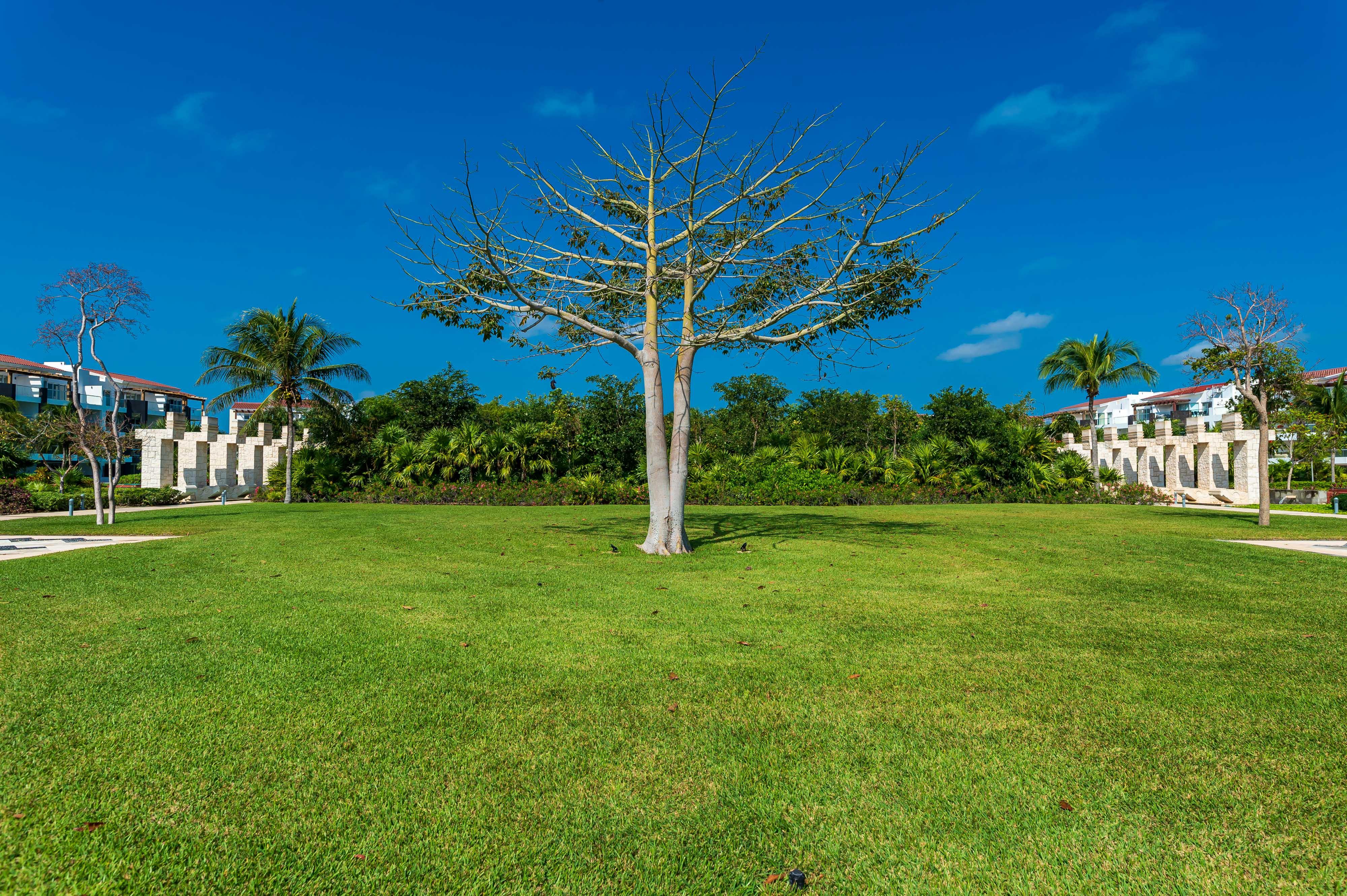 Mareazul Beach Front Resort بلايا ديل كارمن المظهر الخارجي الصورة